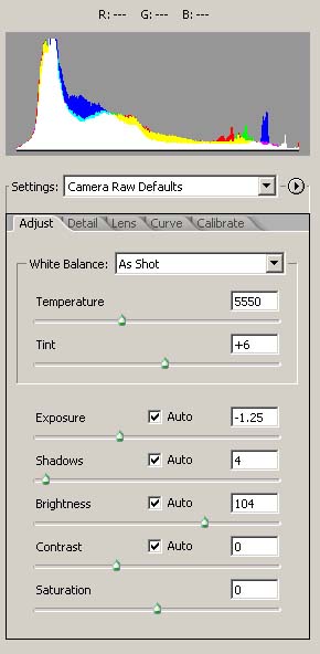 photo workflow project